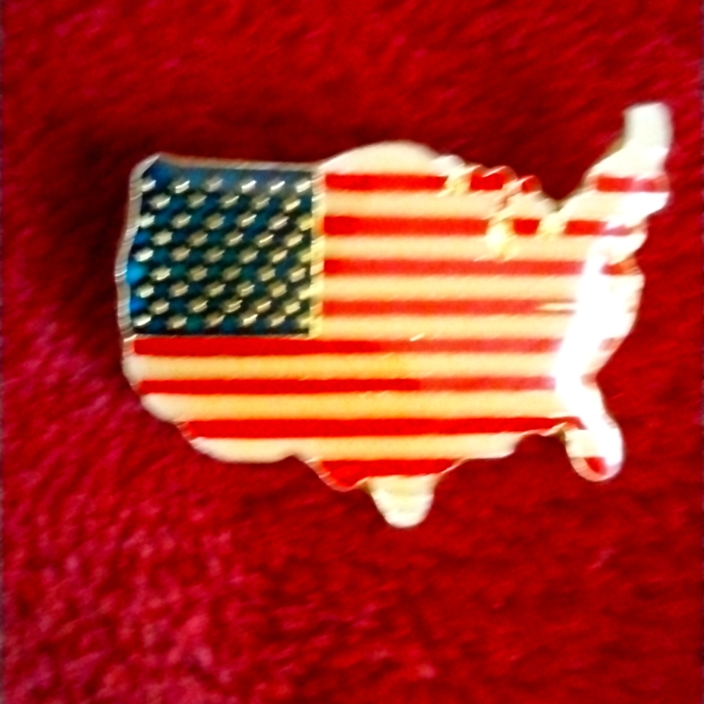 Patriotic USA pin in very good condition